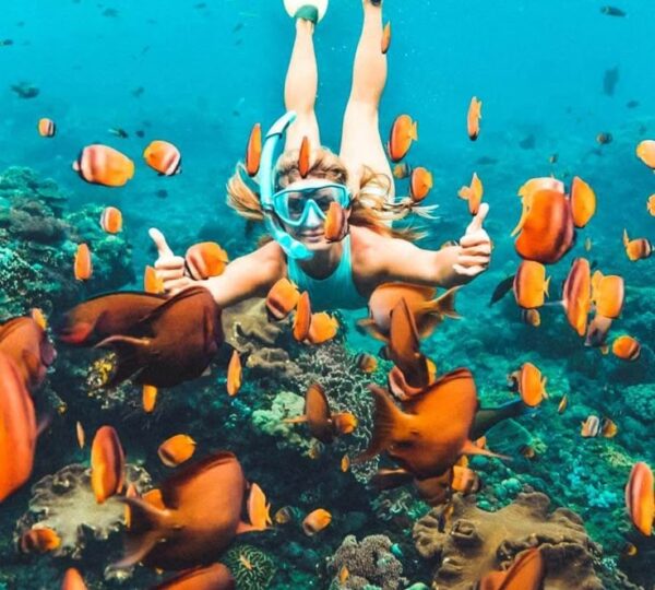 Discover Islands